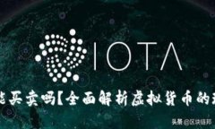 虚拟币还能买卖吗？全面解析虚拟货币的现状与