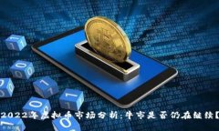 2022年虚拟币市场分析：牛市是否仍在继续？