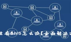 TP钱包没有BNB怎么办？全面解决方案解析
